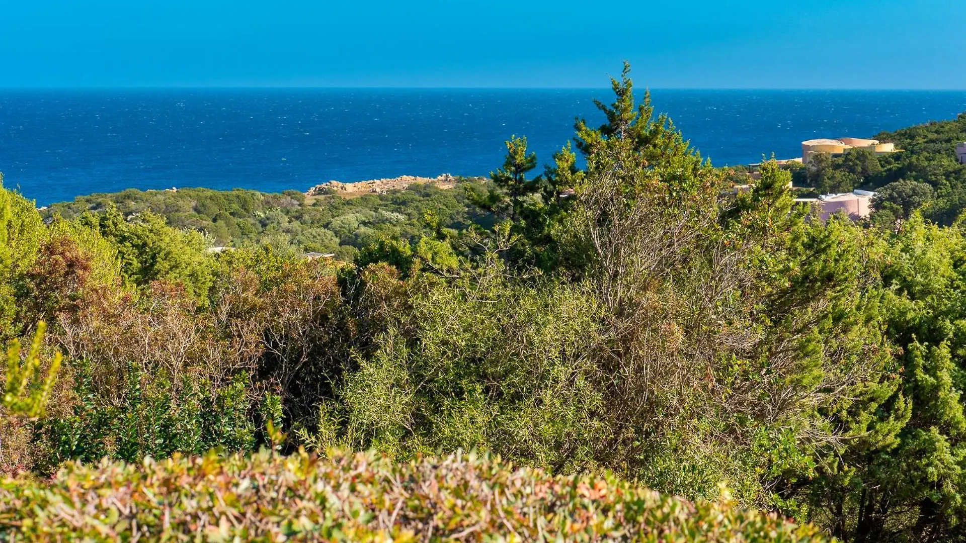 Σπίτι διακοπών Il Poggio Di Cala Granu Βίλα Πόρτο Τσέρβο